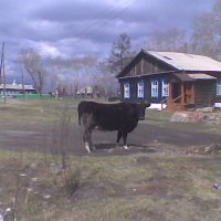 без названия :: fogmeadowww m