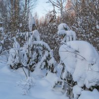 После снегопада :: Сергей Цветков После снегопада :: Сергей Цветков