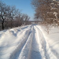 По февралю шагая.. :: Андрей Заломленков