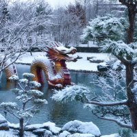 Японский сад зимой :: Андрей Евтеев Японский сад зимой :: Андрей Евтеев