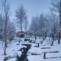 В летнем парке зима :: Андрей Евтеев