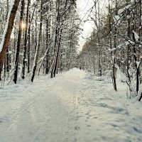Зимний релакс. :: веселов михаил 