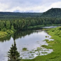 Колва :: Лариса С.