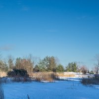 *** :: Геннадий Порохов