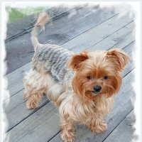 Маленький красавчик ♥ :: Лия ☼