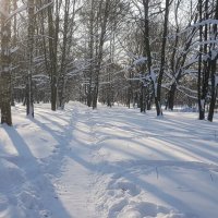 Тишина февраля :: Galina Solovova