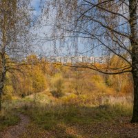 Московская осень... :: Владимир Жданов