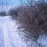 Untitled. :: Андрей. 