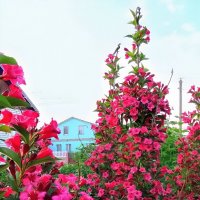 Лето в деревне :: Игорь Сычёв