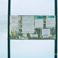 Фотография :: Денис Безногов