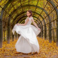 Аллея цвета осени :: Виктор Павленко 