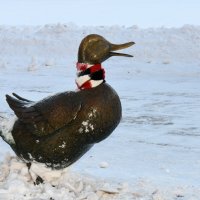 У Новодевичьего... :: Наташа *****