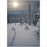 * :: Александр Иванов