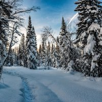 Последний день января... :: Виктор Садырин