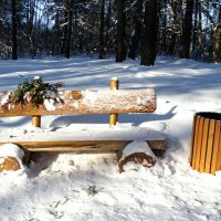 Про смоленскую зиму (репортаж из поездок по области). :: Милешкин Владимир Алексеевич 