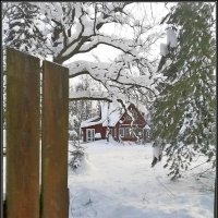 Зима в Подмосковье. :: Ольга Довженко