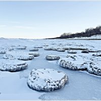 Ледяные блины. :: Валерия Комова