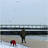 Утренняя прогулка у моря. :: Валерия Комова