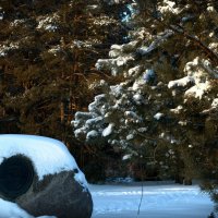 Элемент мемориального комплекса :: Валерия Ширковцова