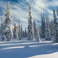 Зимнее творение природы ..... :: Ravile 