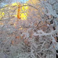 Снежной зимой :: Елена Семигина