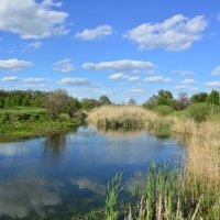 У реки. :: Виктор 