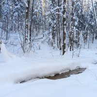 замерз ручей :: Владимир 