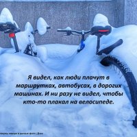 Из жизни велосипедов :: svk *