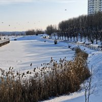 Ростовские зарисовки :: Александр Гапоненко