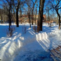 Свет и тени на снегу :: Нина Бутко