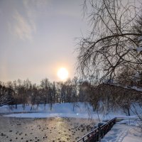 Зимний день в парке С.М.Кирова :: Анастасия Логинова