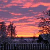 Зимний закат :: Сергей Ц