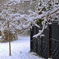 Выпал снег :: Сергей Карачин