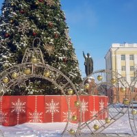 Ёлки в городе :: Galina Solovova