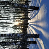 Зима в Москве :: Андрей Лукьянов