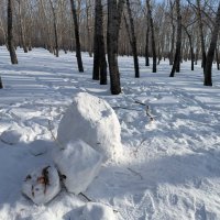 Подрезали снеговика Морковника. :: Андрей Хлопонин