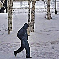 Февраль...Весело из школы! :: Владимир 