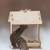 1 :: Сергей Флетчер