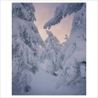 * :: Александр Иванов