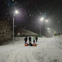 Дружно на горку!!! :: Ирина *