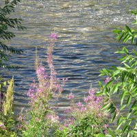 Урал :: Елена Шаламова