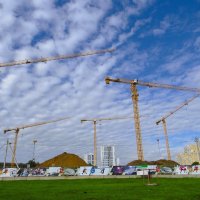 Аисты :: Лариса С.