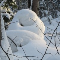 Уснувший :: Galaelina ***