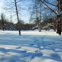 Следы. :: Владимир Безбородов