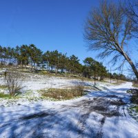 Зимнний  пейзаж :: Валентин Семчишин