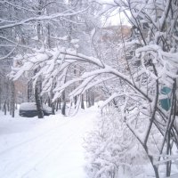 Зима :: Елена Семигина