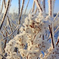 Зима-волшебница. :: nadyasilyuk Вознюк