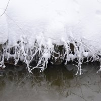 Иней. :: Наталья Вязигина