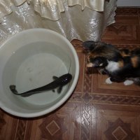 Знакомство :: vlad7791 