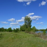 Весна! :: Виктор 